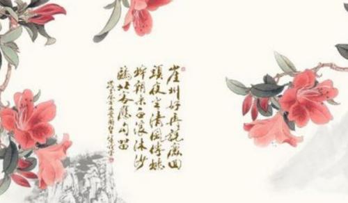 客厅一进门对面摆什么 绿色植物吉祥物品