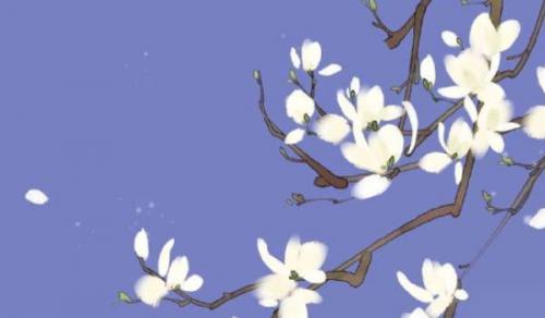 日坐七杀官杀旺女命 个性强势事业旺盛