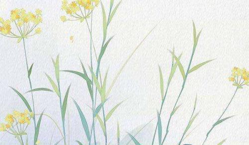 日坐正财正官正印 运势极佳促进发展