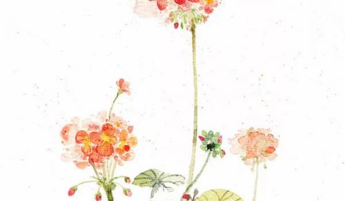 羊刃格身旺走食神运 羊刃配食神多为富